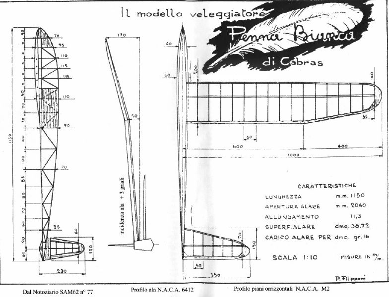 Veleggiatore Penna Bianca